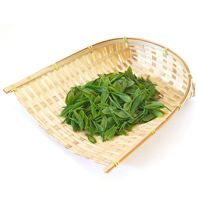 tools-image-leaf